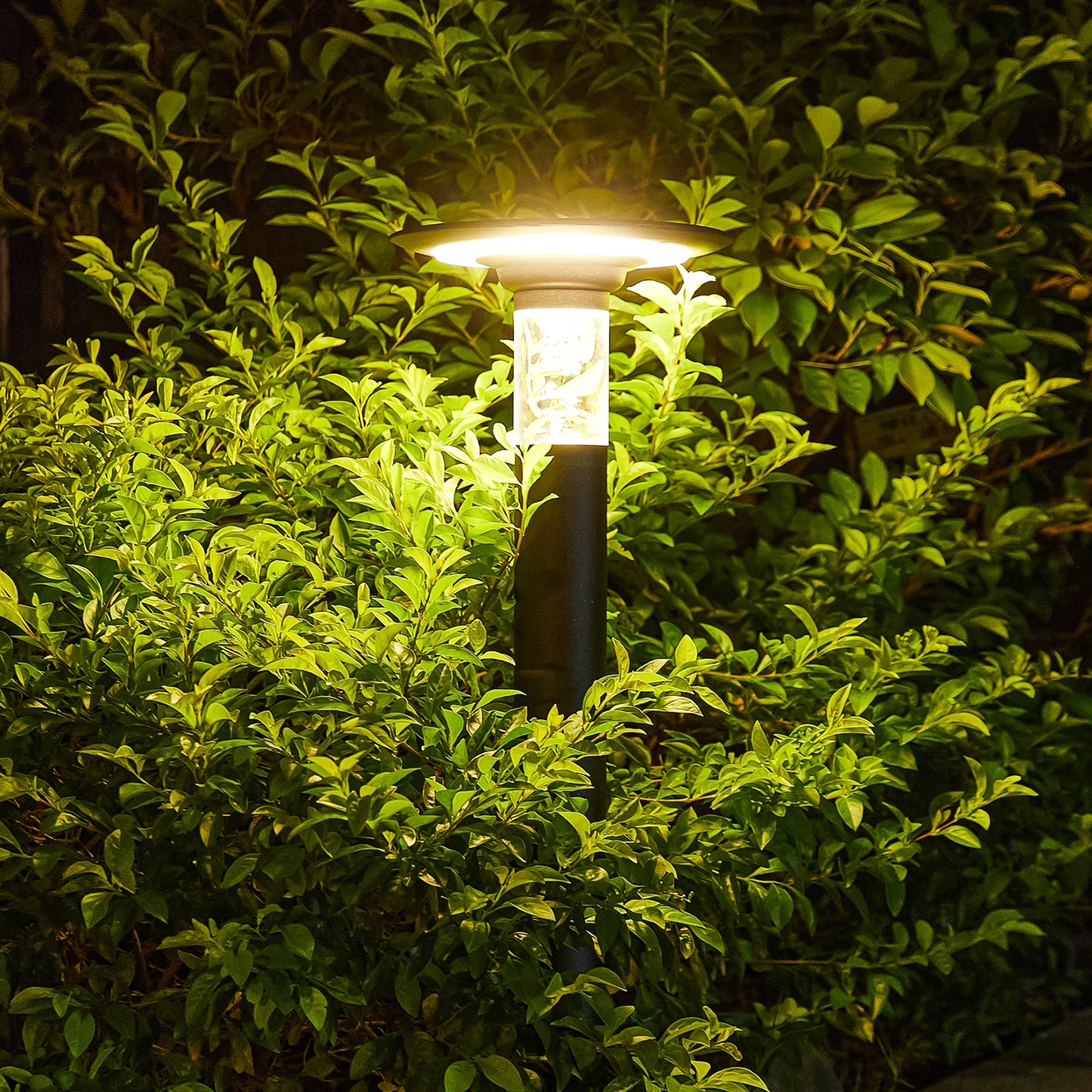 Solar Lawn Light with Dimmable LED - Energy-Efficient Outdoor Lighting Solution for Your Garden or Lawn - Waterproof, Durable, and Easy to Install - Enhance Your Outdoor Space with Soft White Illumination - Available in Multiple Sizes and Colors